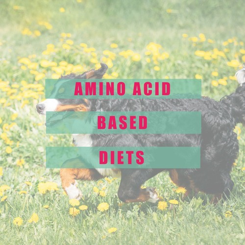 Stream Amino Acid Diet For Itchy Dogs by Dr. Angie Krause Listen