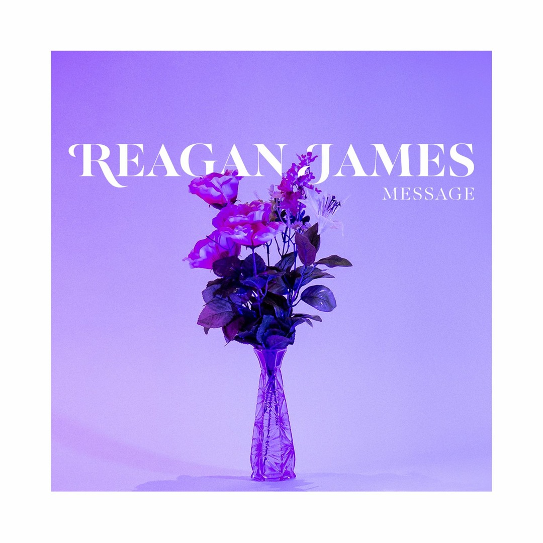 Stream The Habit by Reagan James | Listen online for free on