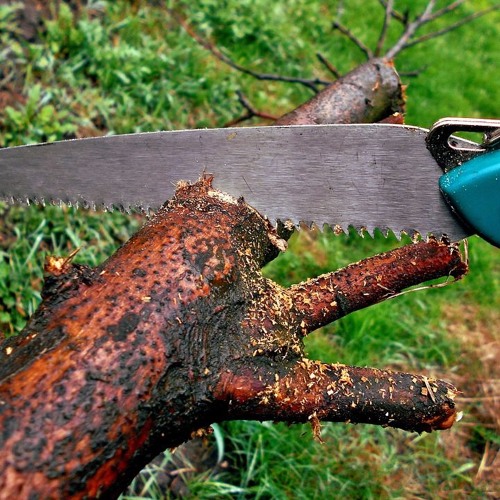 Stream episode How To Choose A Pruning Saw For Cutting Trees & Shrubs