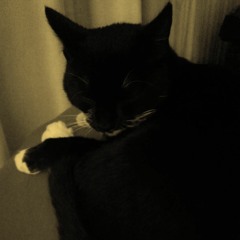 Für Und Von - Mårla