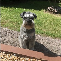 (What A) Wonderful World