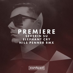 Premiere: Severin Su - Elephant Cry (Nils Penner Remix)