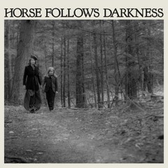 Delia Gonzalez - "Horse Follows Darkness"
