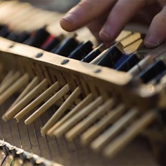 Sami Elu - For My People