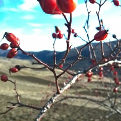 M83 - I Guess Im Floating - Cover