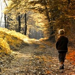 Звёздам нет дела