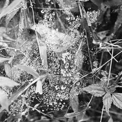 Cashmere Cat x Sainte (BLIAZE Rethink)