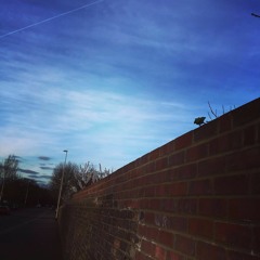 Hi-Fi Curious - show 193