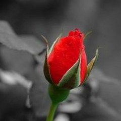 Different (feat. Mychal Blane)