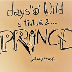 DAYS 'O' WILD MIX (A TRIBUTE 2 PRINCE)