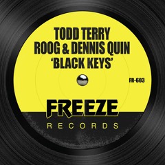 Todd Terry, Roog, Dennis Quin - Black Keys (Edit)