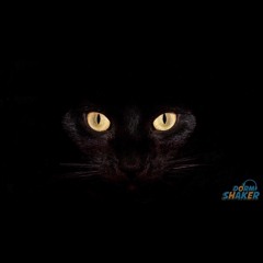 "The Night Show" Mix (EDM, Trap, Jersey Club, Hip-hop) Mixed by TVMPO