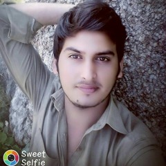 Shakeel Favorites