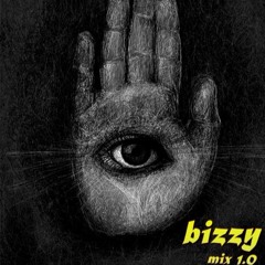 bizzy 1.0 mix