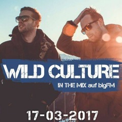 Wild Culture - bigFM MIX [MARCH 2017]
