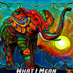 Tikal - What I Mean ft. Unik