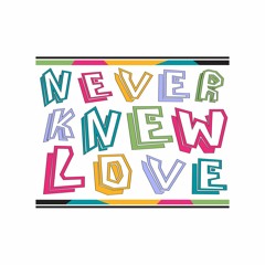 WeAreYou - Never Knew Love
