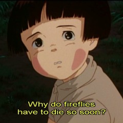 fireflies are eternal