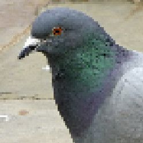 Mii Channel but it's Duck Game