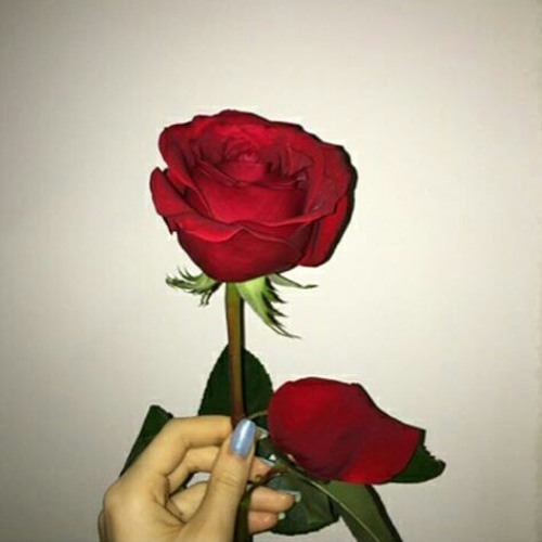 Meant to be *freestyle*(prod.mivadi)