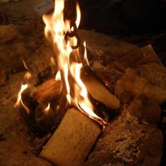 A Fire In The Woods