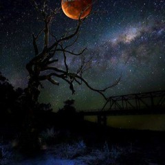 Hot Bitches - RaRe&Rec by Trilionaire Records