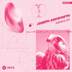 Joseph Ashworth - Sienna (Earth Trax Remix)
