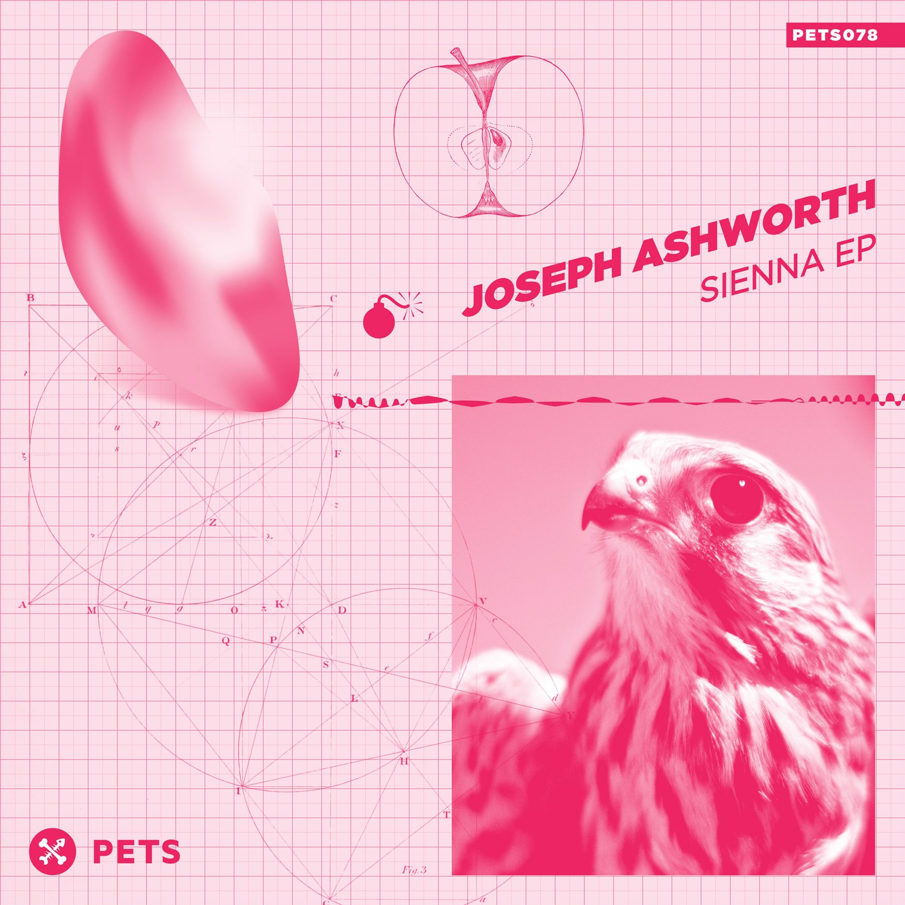 Joseph Ashworth - Sienna episode artwork