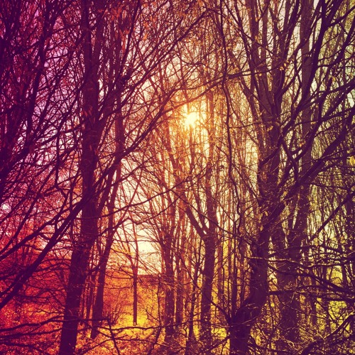 Smoke Rings Mix#28 (Dub Techno / Deep Techno)