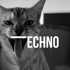 Not Only Techno