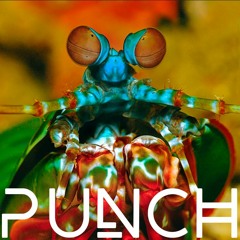 Punch 1.0