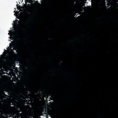 don'tworrywe'llbringbackelectro