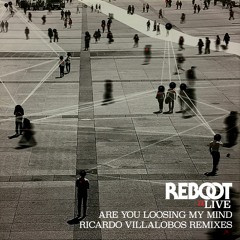 Reboot - Are You Loosing My Mind (Ricardo Villalobos Remixes)(Minimix)
