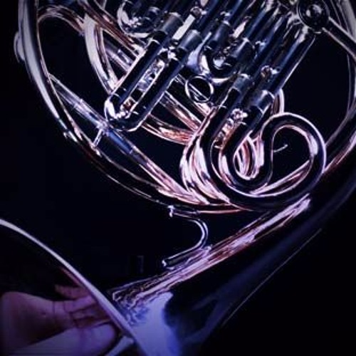 the art of french horn playing excerpt