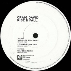 Rise & Fall (Mj Cole Remix)- Craig David