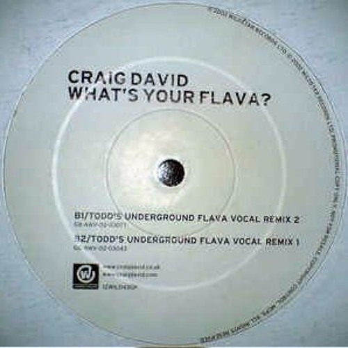 Whats Your Flava -(Underground Mix)- Craig David