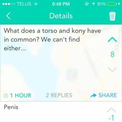Torso
