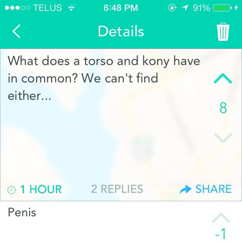 Torso