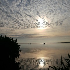 She's Got A Heart Of Gold