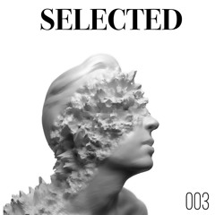 Selected 003: 17 Branches