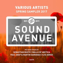 PREMIERE: Paul Deep & Martin Gardoqui - Jiva (Original Mix) [Sound Avenue]