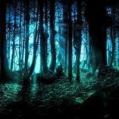 Mandala - Forest Sessions
