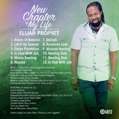 Elijah Prophet - New Chapter Of My Life (2017) - LP medley