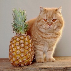 Hehemann's Kream : 002