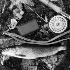 Hela vägen upp -Broke 'n Tipsy/CLEO RMX - Northern Tactics - WAR