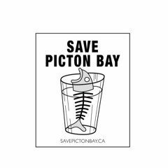 CountyFM Special Report Picton Bay 2017-03-31