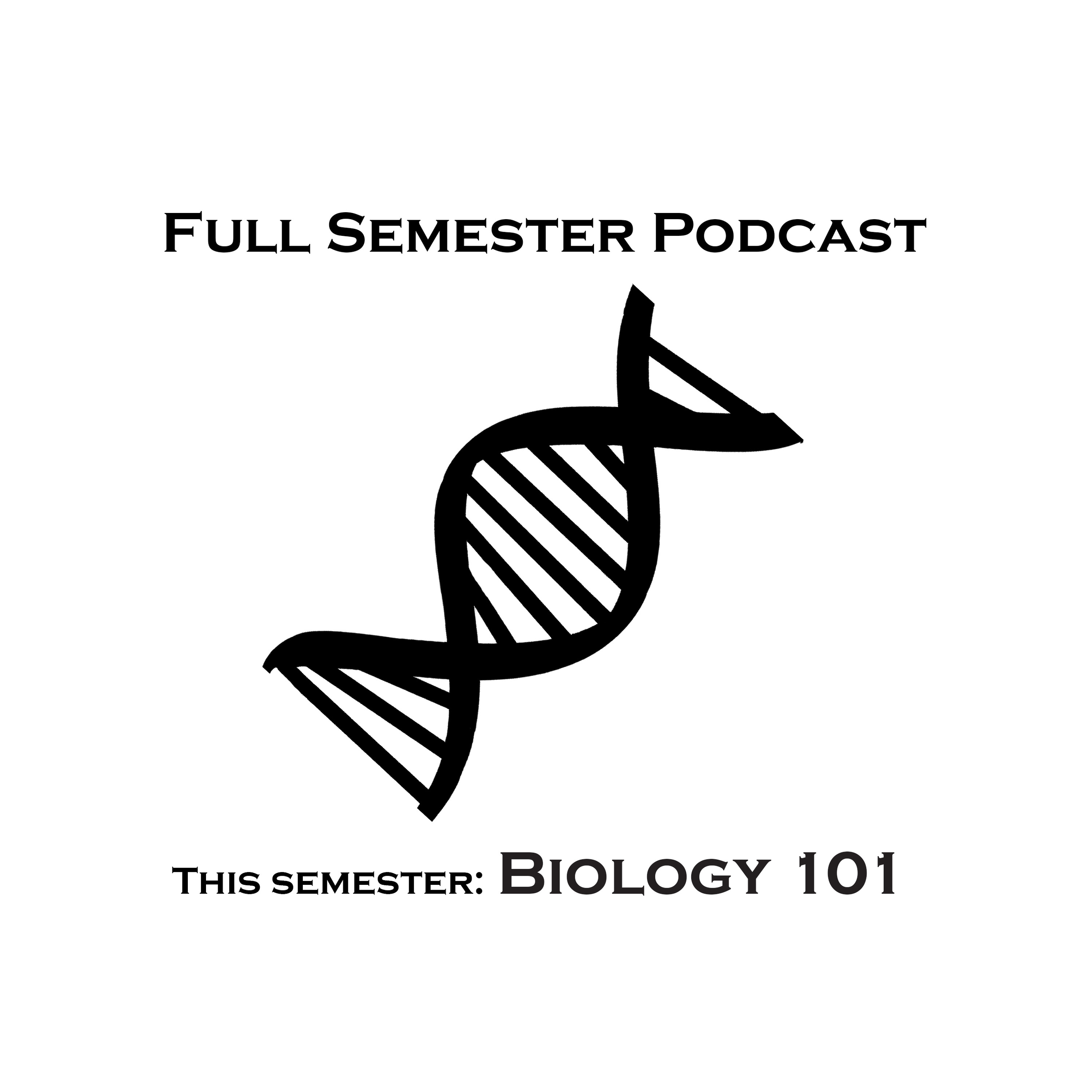 Lecture 8: Regulating Gene Expression episode artwork