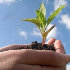 زين النجاح والفلاح وبعودة