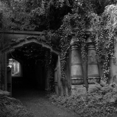 Somnium(An Introduction)