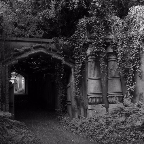 Somnium(An Introduction)